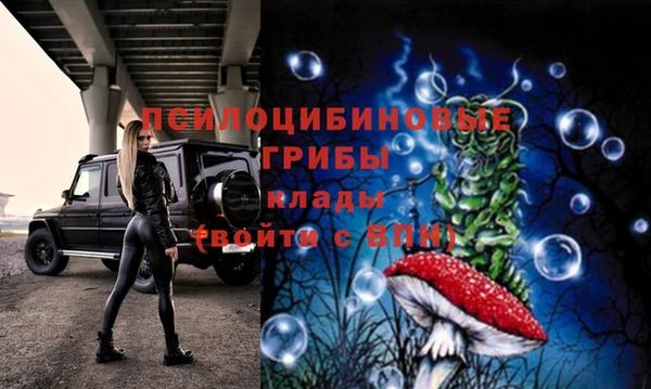 a pvp Михайлов
