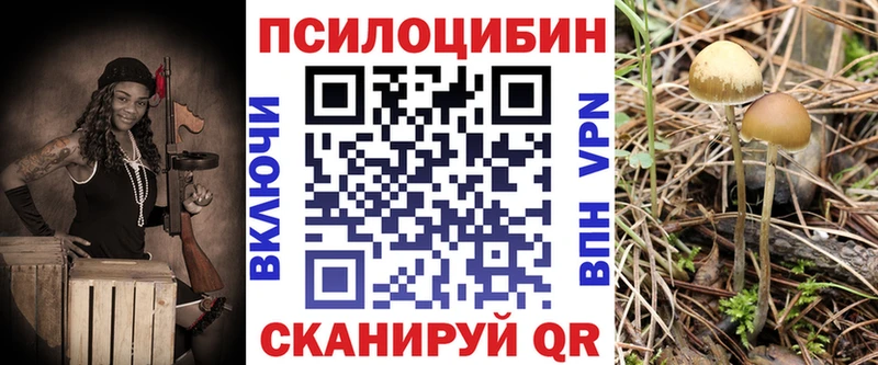 Псилоцибиновые грибы прущие грибы  Рассказово 